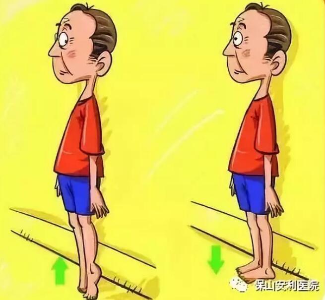 ÿֻҪ(jin)һСwpʹҲ